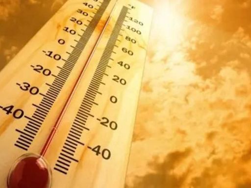 Heatwave in Kashmir: Primary schools closed till July 30 - The Economic Times