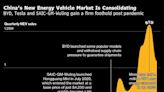 How China Beat Everyone to Be World Leader in Electric Vehicles