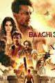 Baaghi 3