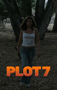 Plot 7