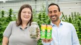 Eustis’ Treadwell Farms partners with Living Vitalitea to launch hemp-infused kombucha
