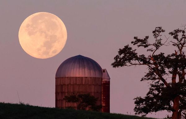 Illinois to get a chance to glimpse a flower moon — and the last of a meteor shower