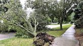 Violent storms blamed for at least 3 fatalities across Midwest