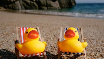 What are ‘quackers’? Inside the cruise scavenger hunt community obsessed with rubber ducks