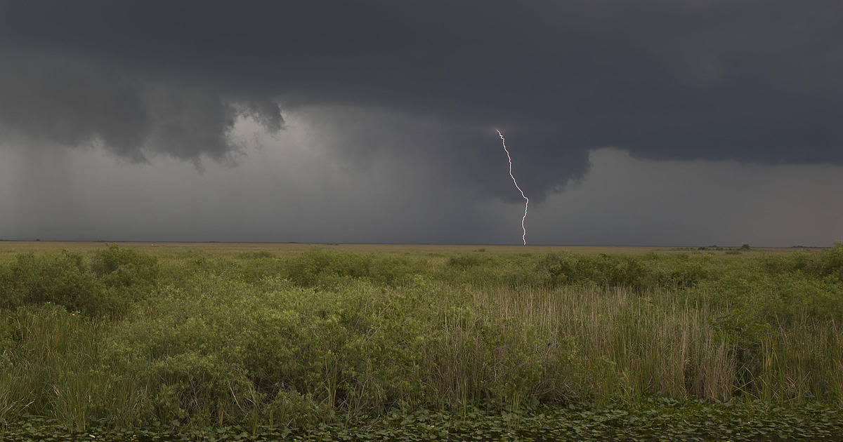 Almost 8 miles long, seepage wall to keep water in Everglades National Park while protecting neighborhoods