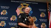 Rockland County Sheriff's K9 Galli scores first rescue, some treats, and lots of playtime