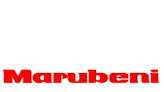 Unveiling the Dividend Dynamics of Marubeni Corp (MARUF)