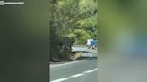 El conductor de un patinete eléctrico retrasa el tráfico en la famosa 'carretera de la muerte' de Málaga