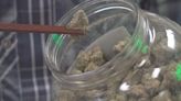 Drug Enforcement Agency pushing to get marijuana re-classified