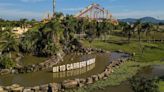 Beto Carrero World: MP de Santa Catarina questiona destino de animais do zoológico; entenda