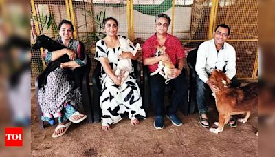 Strays can now have a comfortable stay at this Madh Island centre in Mumbai's Malad West | Mumbai News - Times of India