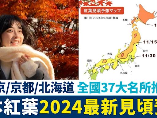 日本紅葉2024懶人包+37大人氣賞楓景點/預測情報/時間表