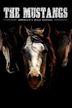 The Mustangs: America's Wild Horses