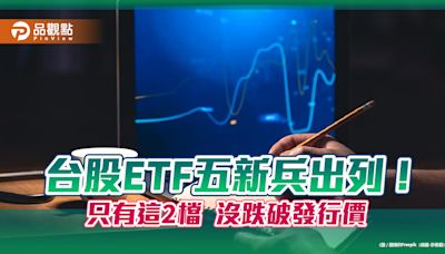 台股ETF新兵體檢！00946、00943績效最佳 5檔一表掌握 | 蕃新聞