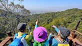 夏季「森」呼吸 台中推薦三條悠遊登山步道