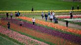 Grab some chalk and color the walkways at Holland's Windmill Island Gardens