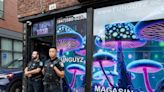 Montreal police hit illegal magic mushroom shop with 3rd raid in 3 weeks