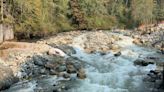 Two years ago a Nooksack dam was destroyed. Now, where are the salmon?