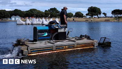 Southsea: Algae cleared from Canoe Lake for second time