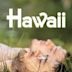 Hawaii (2013 film)