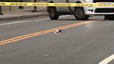 Pedestrial struck, killed in hit-and-run in Philadelphia's University City section