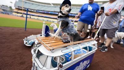 El día que los perros “invadieron” la casa de los Dodgers