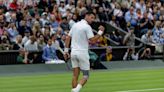 Djokovic: "Para quem estava me desrespeitando, boa noite" - TenisBrasil