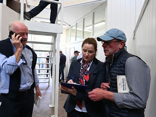 Champion trainer Mullins restocking with the pick of Derby Sale lots led by €175,000 auction-topper