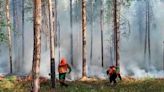 Rusia: extinguen 152 incendios forestales en una jornada - Noticias Prensa Latina