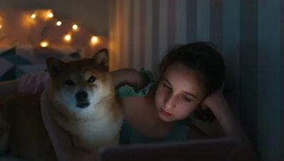 Sad Dog Movies That Make You Cry but Are Worth Watching