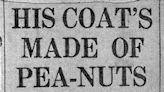 The man in the monkey nut coat: how a 1940s scientist made ‘vegan wool’ from peanuts