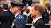 Prince Harry – live: Duke says he and William believed Diana faked her death for ‘many years’