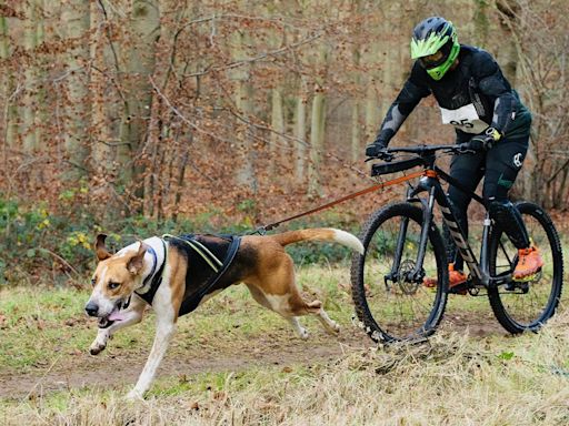 Skipton native rides again as he competes for Great Britain in Finland with dogs