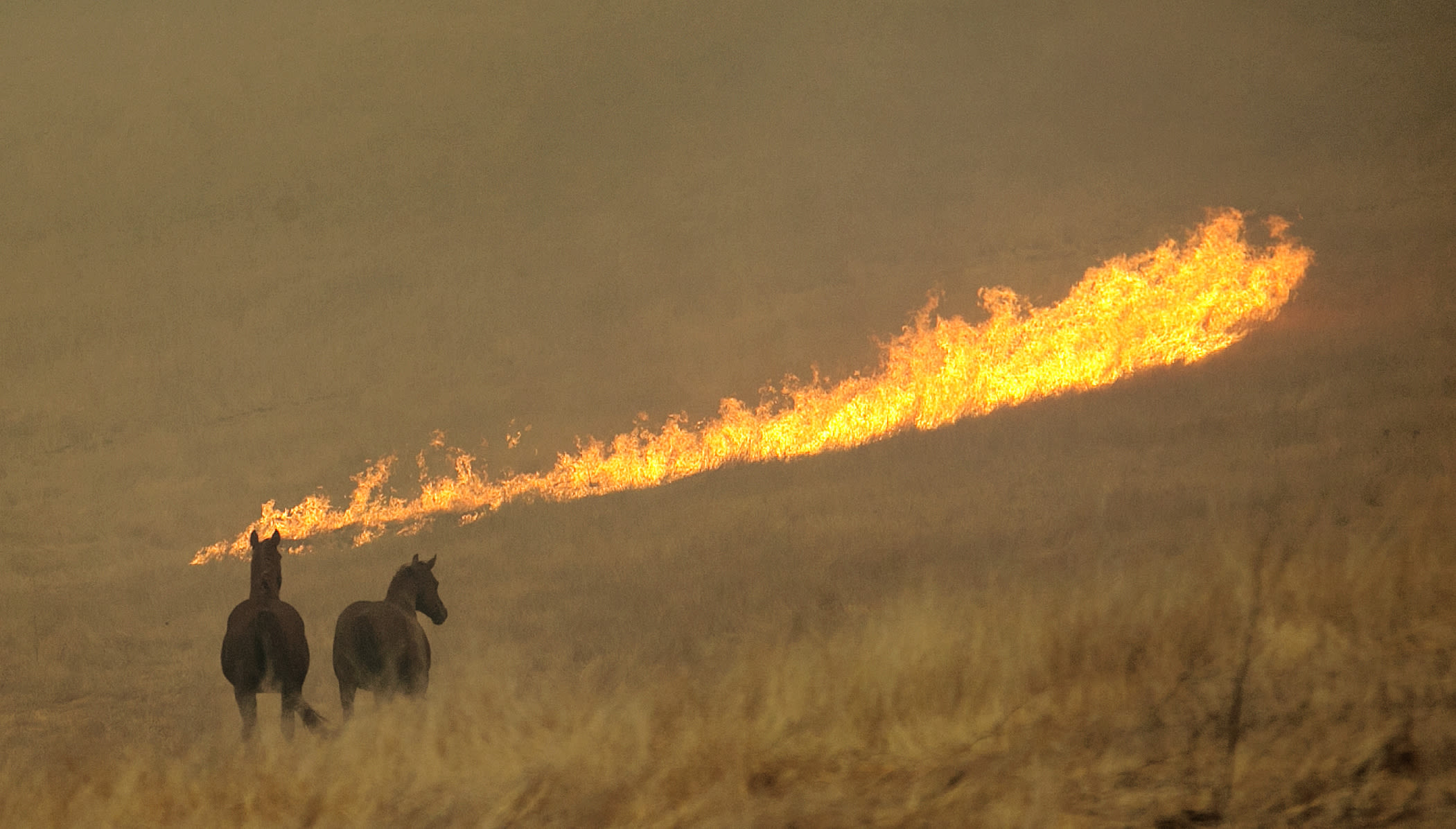 California home insurance program accused of selling policies with subpar fire coverage