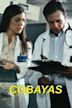 Cobayas: Human Test