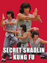 Secret of Shaolin Kung Fu