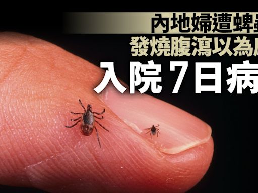 內地婦遭蜱蟲咬後發燒腹瀉入院7日病逝 女兒後悔誤會感冒致延醫