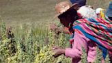 2 de cada 10 unidades de producción en el campo son dirigidas por una mujer