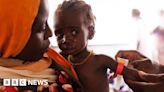 Sudan conflict: Millions face starvation as war rages