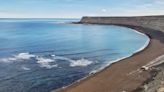 Argentine Fishermen Find Remains Of Missing Man Inside Shark