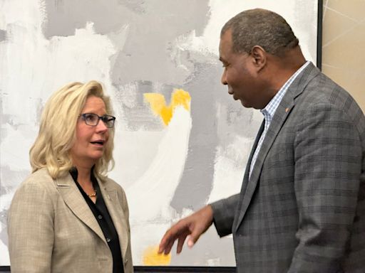 Liz Cheney wants to see Trump trounced; Democratic control of House is vital, Republican says