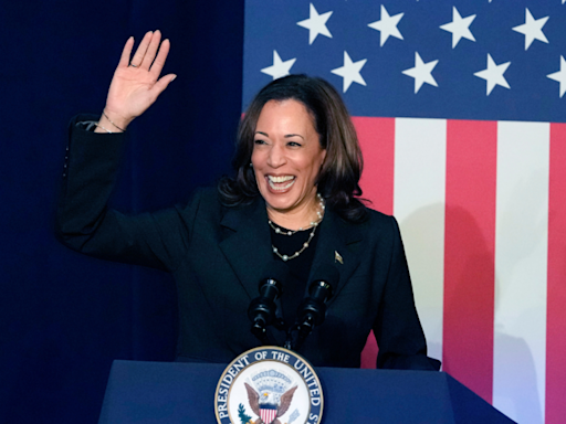 Indian takes on the cowboy: Promise and risks the Democratic Party holds in turning to Kamala Harris - The Economic Times