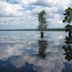 Great Dismal Swamp National Wildlife Refuge