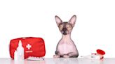 10 Things to Include in a Cat First Aid Kit