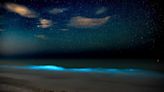 Bioluminescent algae bloom dazzles beachgoers on Florida island