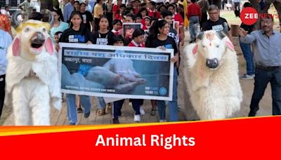 Guwahati: 14th National Animal Rights Day Observed In India