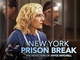 New York Prison Break the Seduction of Joyce Mitchell