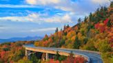 People keep trying to feed and hold a bear on North Carolina's Blue Ridge Parkway and it's gotten so bad that the National Parks Service had to close parts of the road