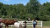 Lorain County Horse Club LLC hosts second show of season