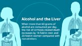 Alcohol and Liver Effects: What’s Reversible vs. Permanent?